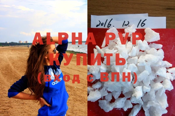 соль ск Белокуриха