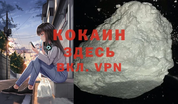 соль ск Белокуриха